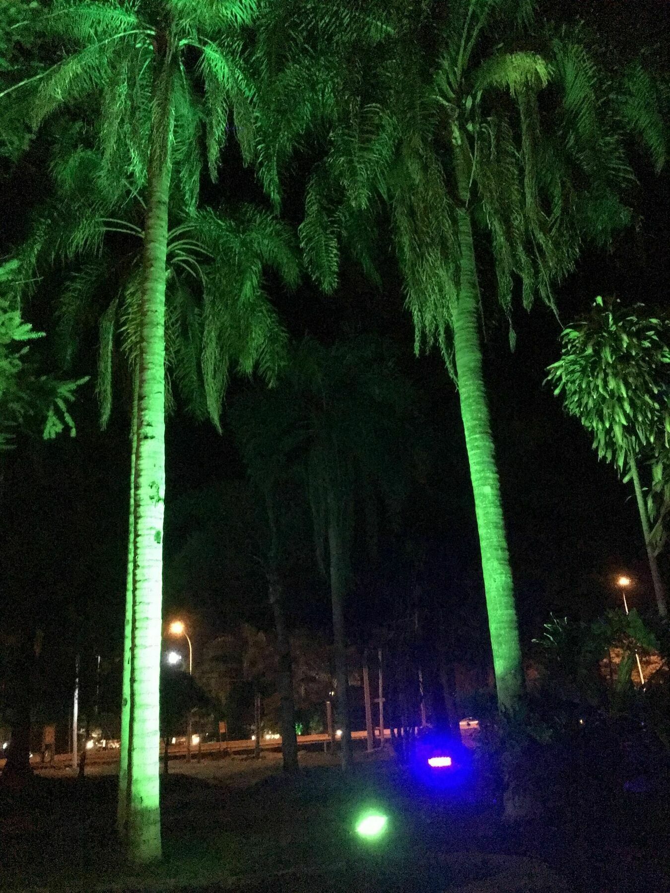 Tangoinn Club Iguazu Party Luxury Hostel Пуэрто-Игуасу Экстерьер фото